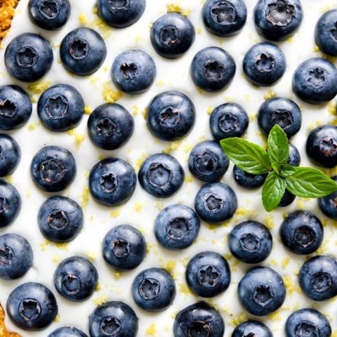 A light, fluffy no bake cheesecake with lemon, blueberries and gluten free crust.