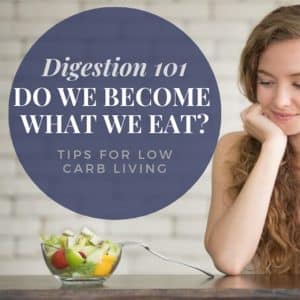 Low Carb Digestion Article