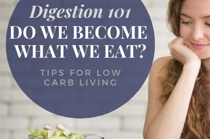 Low Carb Digestion Article