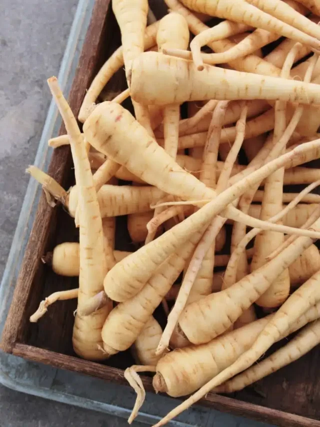 Are Parsnips Low Carb Friendly?