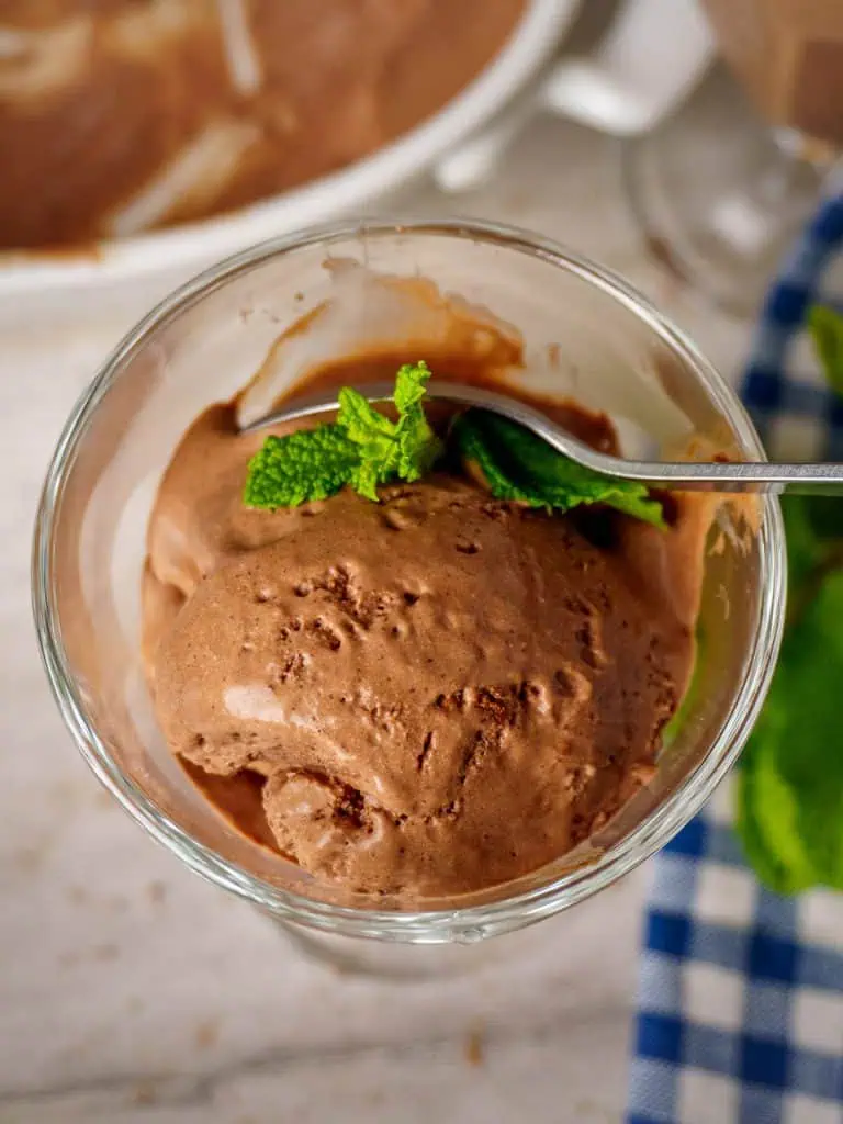 Sugar free chocolate ice cream recipe for ice cream maker outlet
