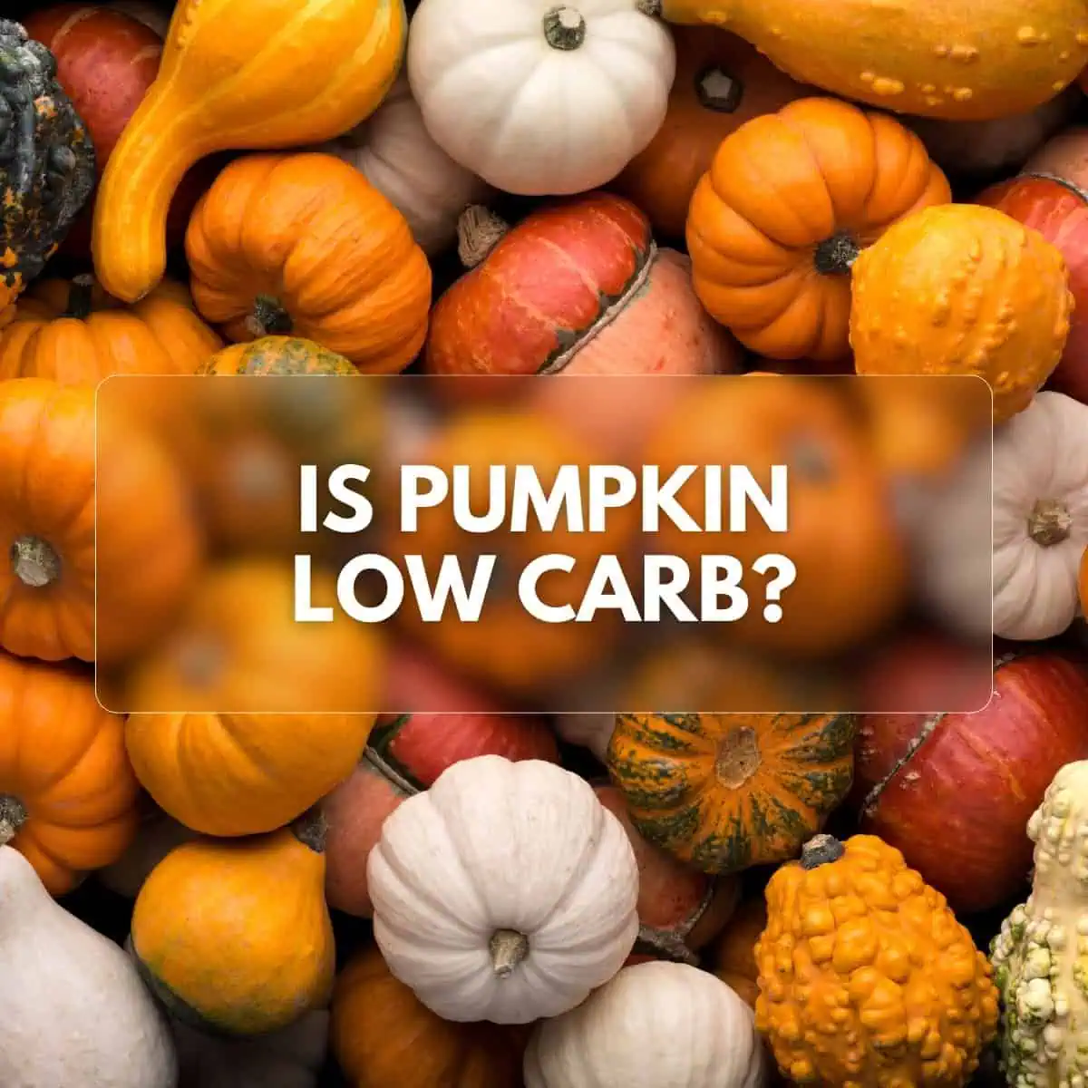 collection of pumpkins and gourds of different shapes and colors, with the text "Is Pumpkin Low Carb?" overlaid on the image.